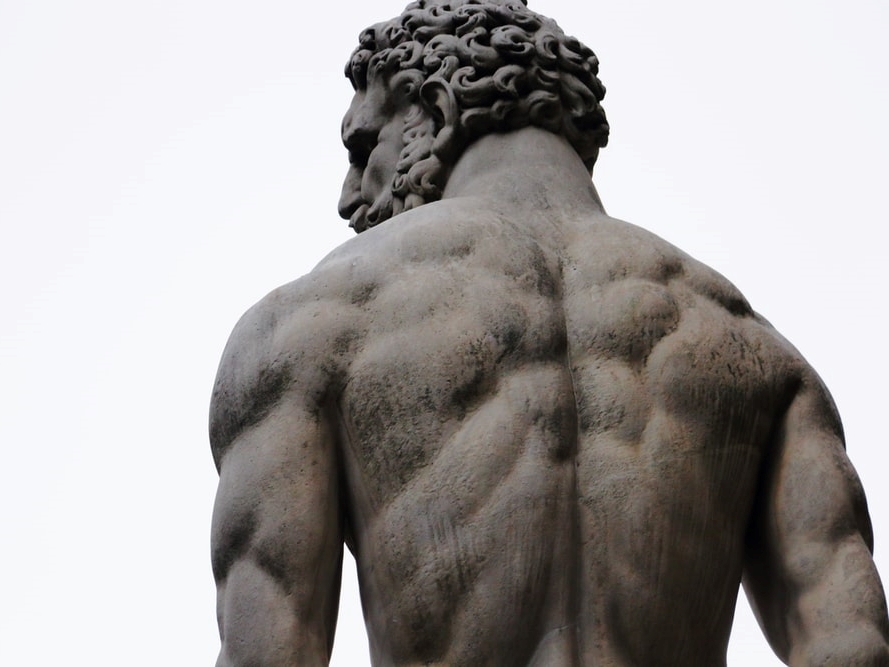 Gluteus Maximus