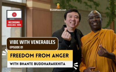 Recording of Episode 01 Vibe with Venerables “Freedom from Anger” with Bhante Buddharakkhita