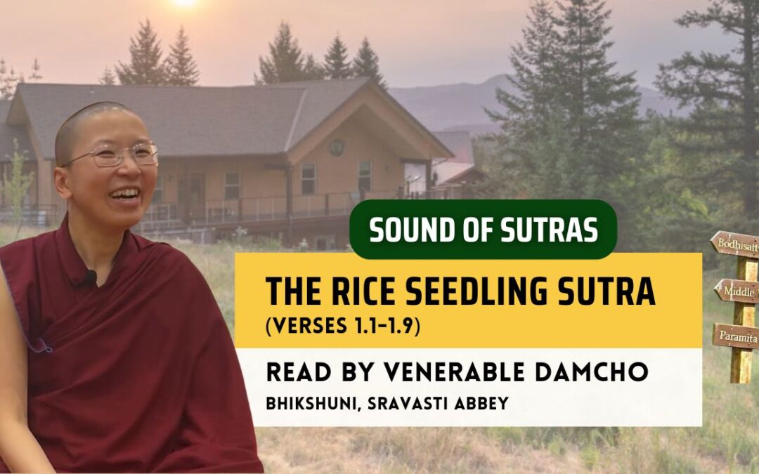 The Rice Seedling Sutra, read by Venerable Damcho | Sound of Sutras