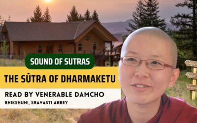 The Sūtra of Dharmaketu, read by Venerable Damcho | Sound of Sutras
