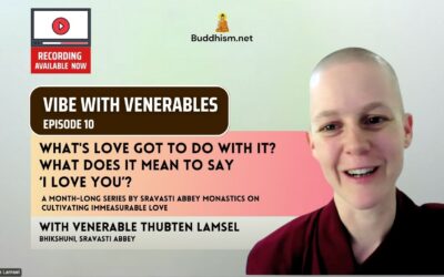 Recording of Episode 10 Vibe with Venerables “What’s Love Got To Do With It? What does it mean to say ‘I Love You’?” with Venerable Thubten Lamsel