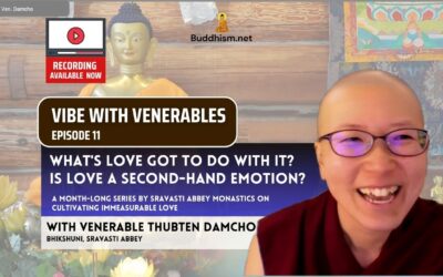 Recording of Episode 11 Vibe with Venerables “What’s Love Got To Do With It? Is Love a Second-Hand Emotion?” with Venerable Thubten Damcho
