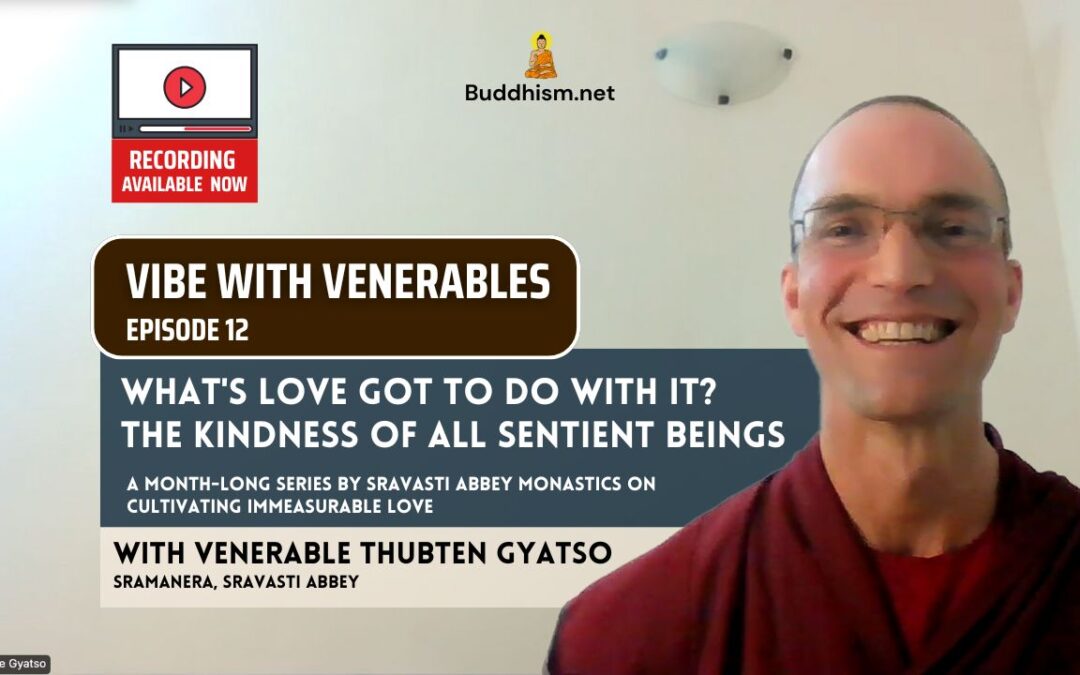 Recording of Episode 12 Vibe with Venerables “What’s Love Got To Do With It? The Kindness of All Sentient Beings” with Venerable Thubten Gyatso