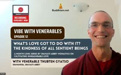 Recording of Episode 12 Vibe with Venerables “What’s Love Got To Do With It? The Kindness of All Sentient Beings” with Venerable Thubten Gyatso