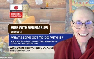 Recording of Episode 13 Vibe with Venerables “What’s Love Got To Do With It? The Kindness of All Sentient Beings” with Venerable Thubten Chonyi