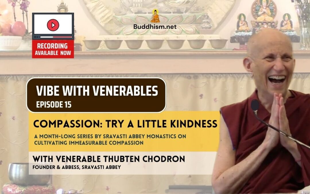 Recording of Episode 15 Vibe with Venerables “Compassion: Try A Little Kindness” with Venerable Thubten Chodron