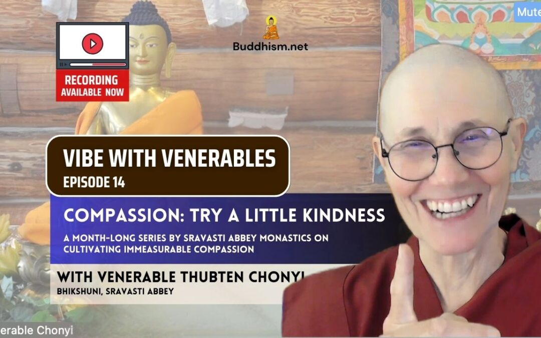 Recording of Episode 14 Vibe with Venerables “Compassion: Try A Little Kindness” with Venerable Thubten Chonyi