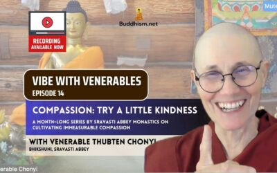 Recording of Episode 14 Vibe with Venerables “Compassion: Try A Little Kindness” with Venerable Thubten Chonyi