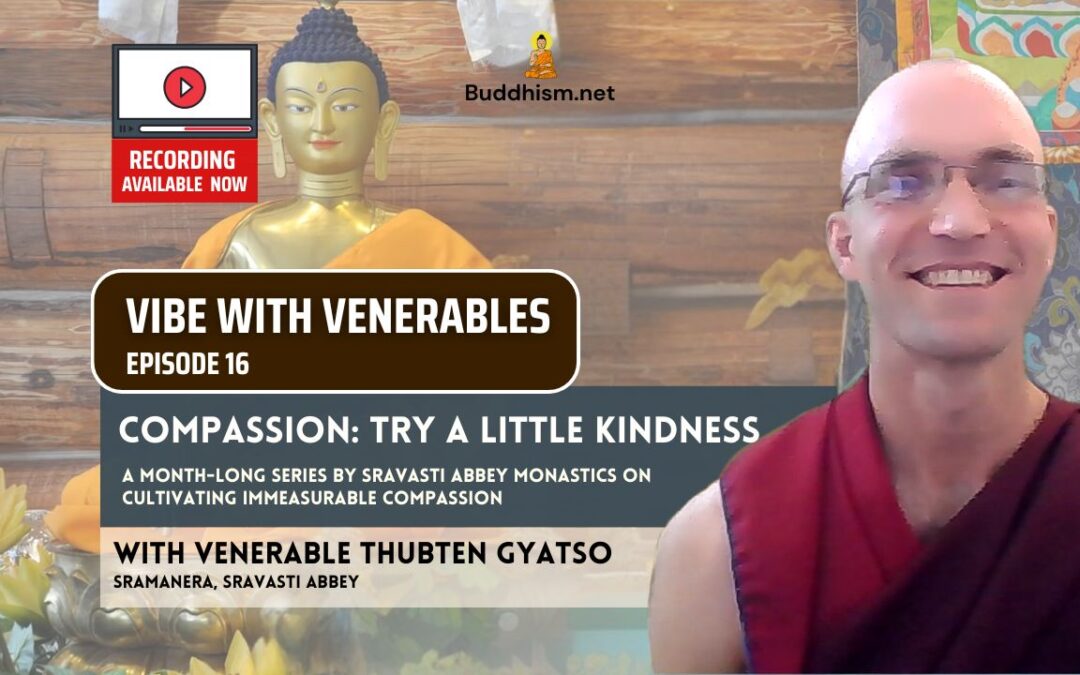 Recording of Episode 16 Vibe with Venerables “Compassion: Try A Little Kindness” with Venerable Thubten Gyatso