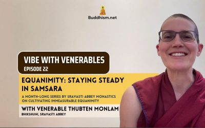 Recording of Episode 22 Vibe with Venerables “Equanimity: Staying Steady in Samsara” with Venerable Thubten Monlam