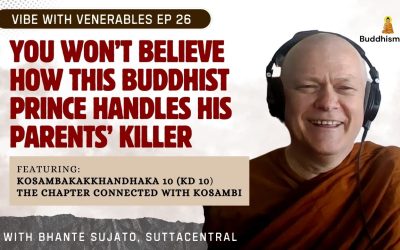 You Won’t Believe How This Buddhist Prince Handles His Parents’ Killer | Recording of Vibe with Venerables Ep 26 with Bhante Sujato