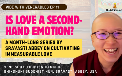 Recording of Episode 11 Vibe with Venerables “What’s Love Got To Do With It? Is Love a Second-Hand Emotion?” with Venerable Thubten Damcho