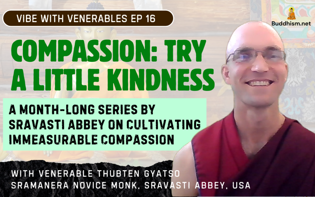 Recording of Episode 16 Vibe with Venerables “Compassion: Try A Little Kindness” with Venerable Thubten Gyatso