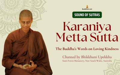 Karaniya Metta Sutta chanted by Bhikkhuni Upekkha | Sound of Sutras