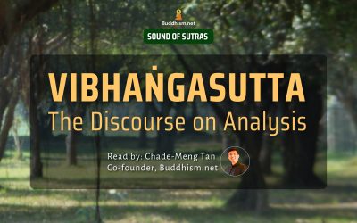 Vibhaṅgasutta, Discourse on Analysis