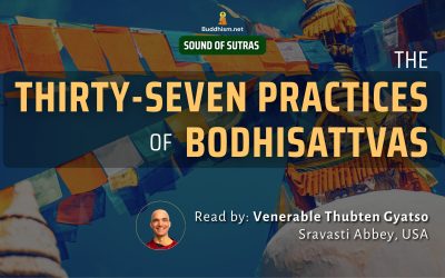 The Thirty-Seven Practices of Bodhisattvas