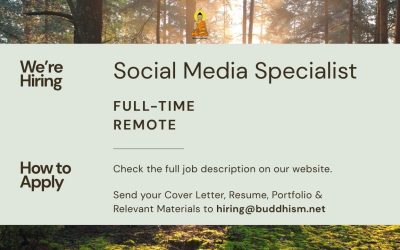Job Opening: Social Media Specialist