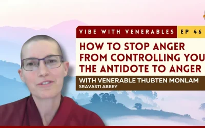 How to Deal With Anger: Buddhist Ways to Stay Calm | Vibe with Venerables Ep 46