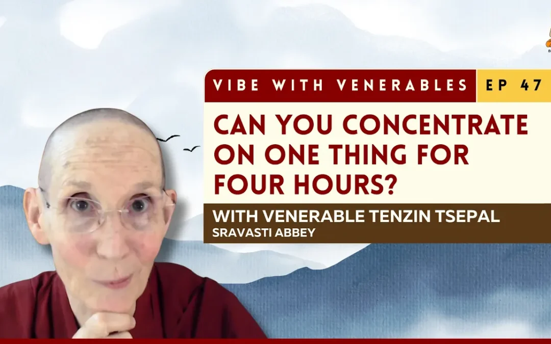 The Higher Training in Concentration, Explained | Vibe with Venerables Ep 47