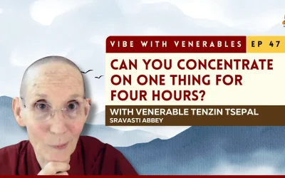 The Higher Training in Concentration, Explained | Vibe with Venerables Ep 47