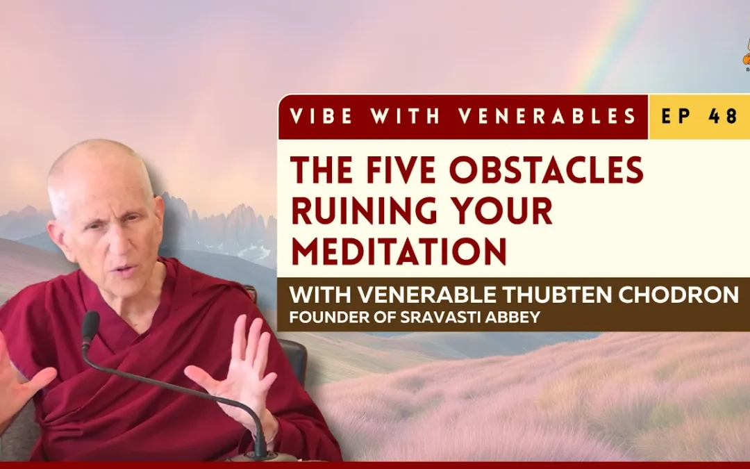 Higher Training in Concentration: Why You Can’t Rush Samadhi | Vibe with Venerables Ep 48
