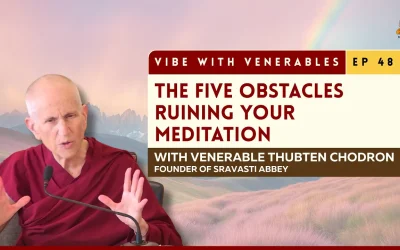 Higher Training in Concentration: Why You Can’t Rush Samadhi | Vibe with Venerables Ep 48