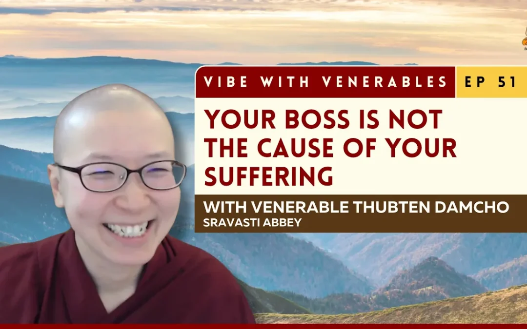 How Wisdom Ends Suffering at Every Level | Vibe with Venerables Ep 51